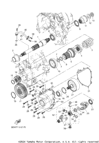 Middle Drive Gear