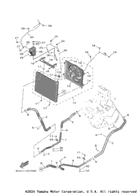 Radiator & Hose