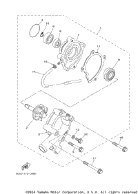 Water Pump