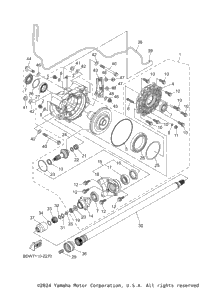 Drive Shaft
