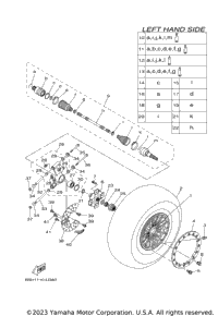 Rear Wheel