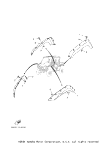 Fender