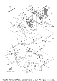 Radiator Hose