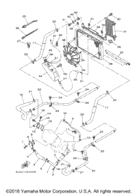 Radiator Hose