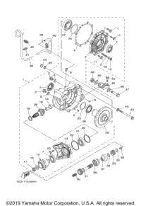 Drive Shaft