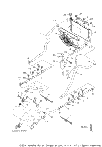 Radiator & Hose