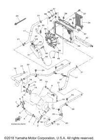 Radiator Hose