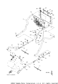 Radiator & Hose