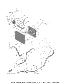 Radiator & Hose