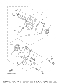 Water Pump
