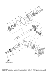 Middle Drive Gear