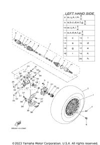Rear Wheel