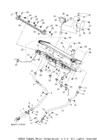Radiator & Hose