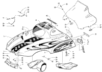 Hood And Windshield Assembly