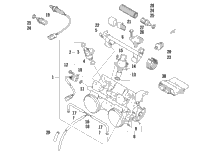 Throttle Body Assembly
