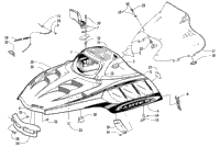 Hood And Windshield Assembly