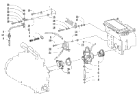 Carburetor And Fuel Pump Assembly