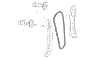 Timing Chain And Cam Shaft Assembly