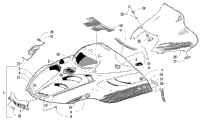 Hood And Windshield Assembly