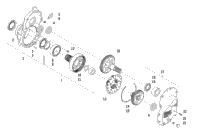 Gearcase Assembly