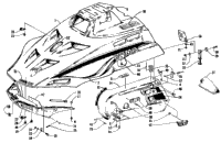 Hood And Side Pods