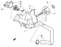 Water Pump And Thermostat