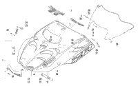 Hood And Windshield Assembly