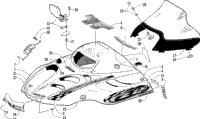 Hood And Windshield Assembly