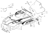 Hood And Windshield Assembly