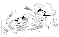 Hood And Windshield Assembly
