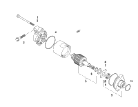 Starter Motor Assembly