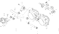 Throttle Body Assembly