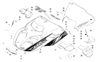 Hood And Windshield Assembly