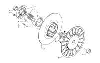 Driven Clutch