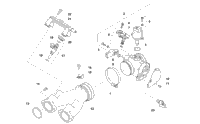Throttle Body Assembly