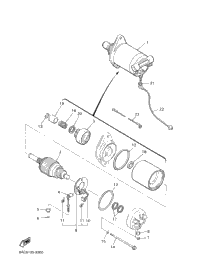 Starting Motor