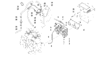 Carburetor And Fuel Pump Assembly