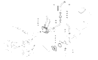 Carburetor And Fuel Pump Assembly