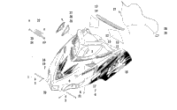 Hood And Windshield Assembly