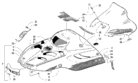 Hood And Windshield Assembly