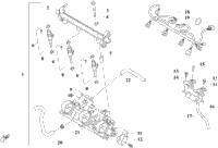 Throttle Body Assembly