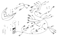Headlight And Wiring Assemblies