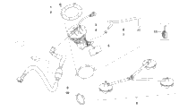 Fuel Pump Assembly