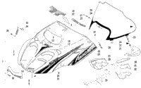 Hood And Windshield Assembly
