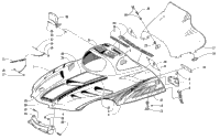 Hood And Windshield Assembly
