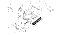 Hood And Windshield Assembly