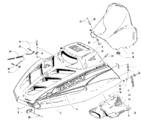 Hood And Windshield Assembly