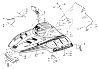 Hood And Windshield Assembly