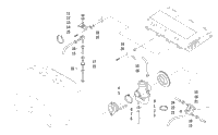 Carburetor And Fuel Pump Assembly