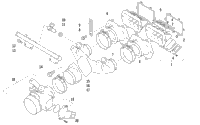 Reed Valve/Throttle Body Assembly